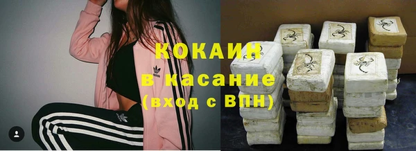 шишки Богородицк