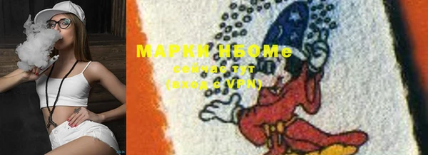 шишки Богородицк