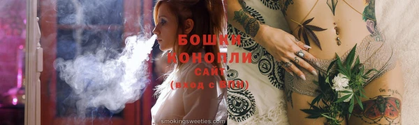 соль ск Богданович