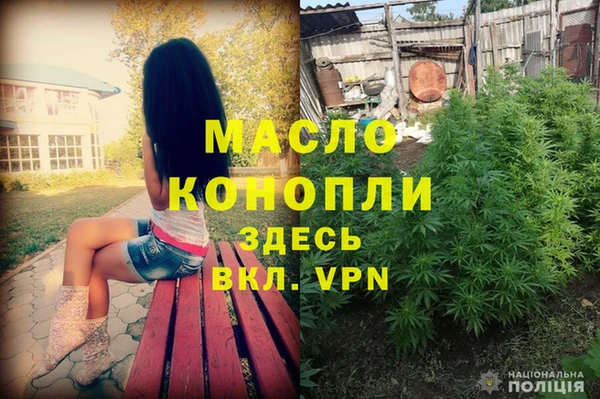 шишки Богородицк