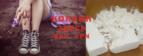 шишки Богородицк
