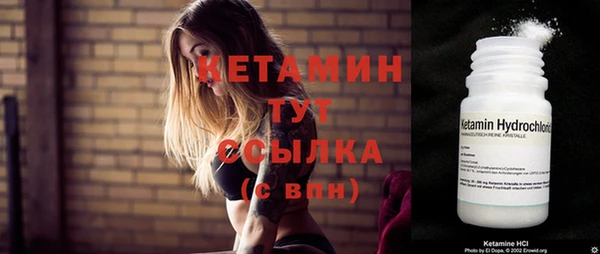 шишки Богородицк