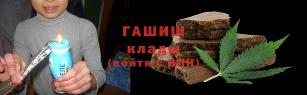 шишки Богородицк