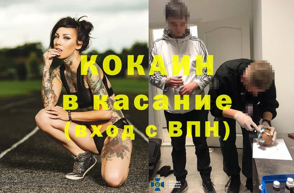 соль ск Богданович