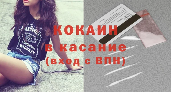 шишки Богородицк