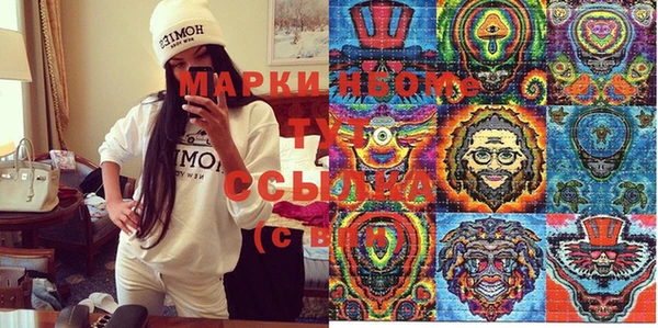 шишки Богородицк