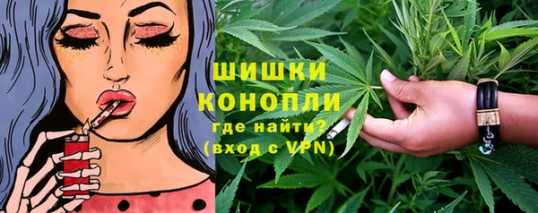 соль ск Богданович