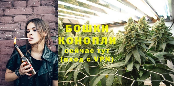 соль ск Богданович