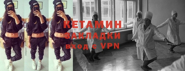 шишки Богородицк