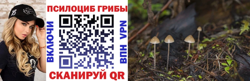 Галлюциногенные грибы мухоморы  хочу   omg ссылка  Мурманск 
